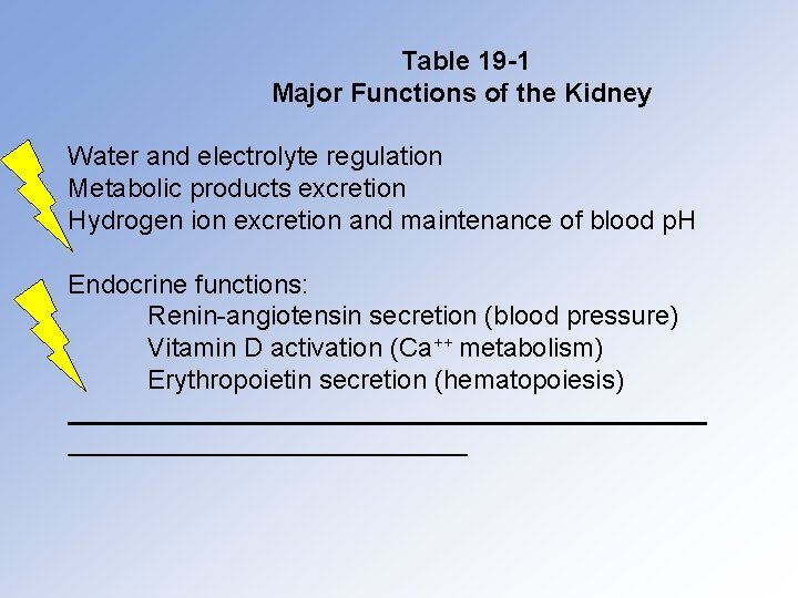 Table 19 -1 Major Functions of the Kidney Water and electrolyte regulation Metabolic products