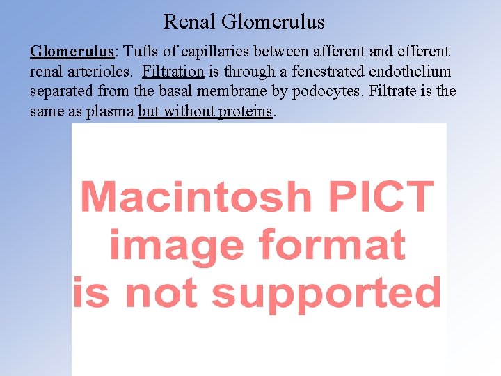 Renal Glomerulus: Tufts of capillaries between afferent and efferent renal arterioles. Filtration is through