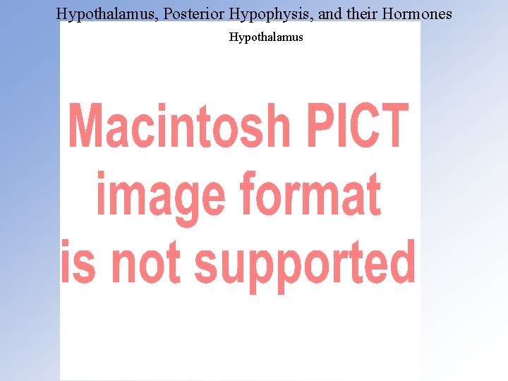Hypothalamus, Posterior Hypophysis, and their Hormones Hypothalamus 
