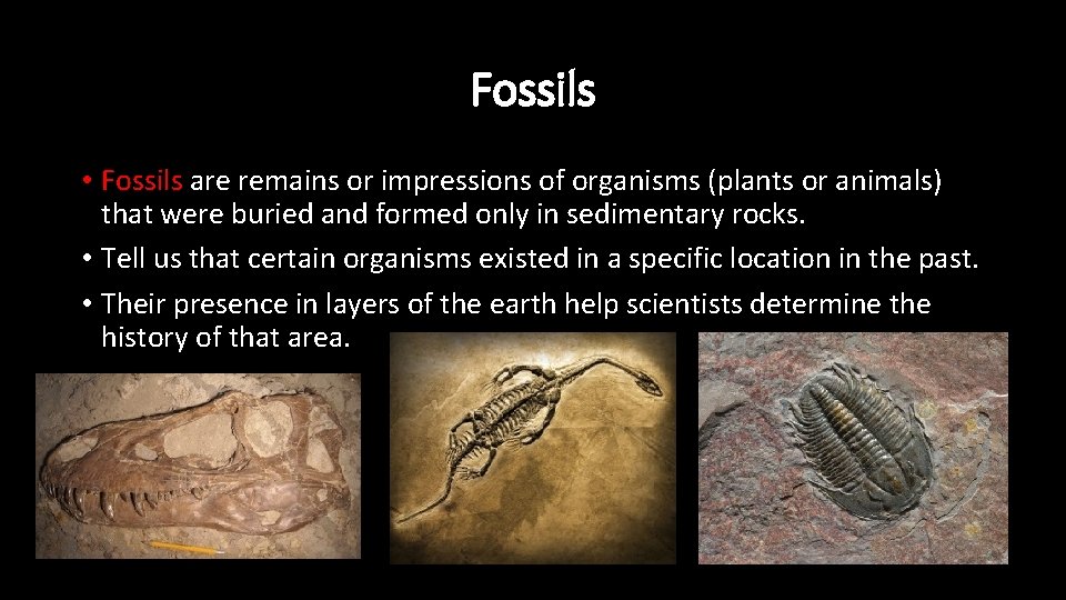 Fossils • Fossils are remains or impressions of organisms (plants or animals) that were