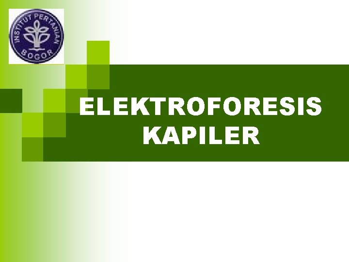 ELEKTROFORESIS KAPILER 