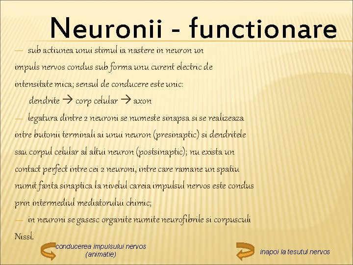 Neuronii - functionare sub actiunea unui stimul ia nastere in neuron un impuls nervos