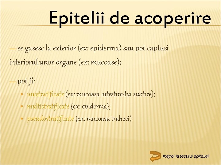 Epitelii de acoperire — se gasesc la exterior (ex: epiderma) sau pot captusi interiorul