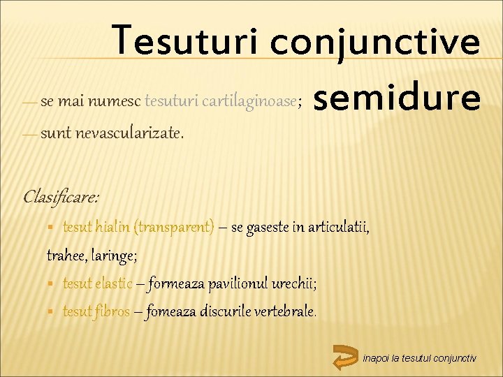 — Tesuturi conjunctive se mai numesc tesuturi cartilaginoase; semidure — sunt nevascularizate. Clasificare: tesut