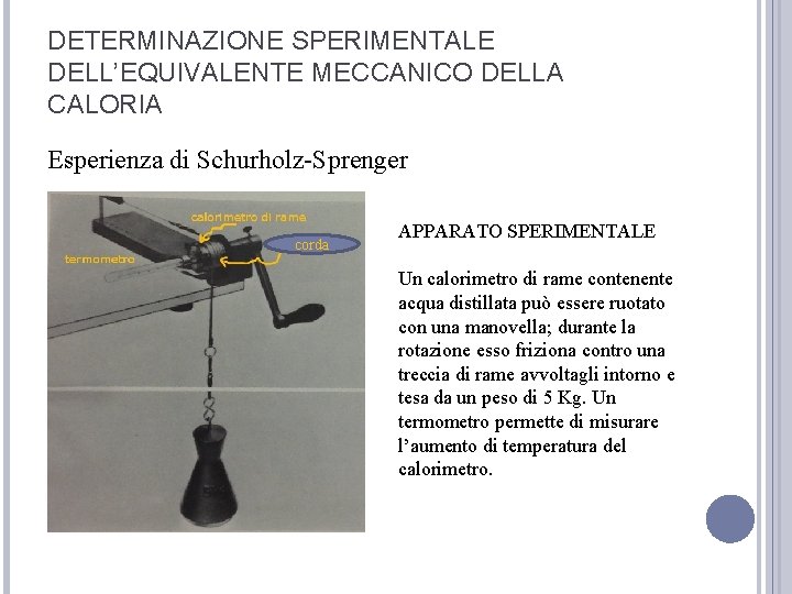 DETERMINAZIONE SPERIMENTALE DELL’EQUIVALENTE MECCANICO DELLA CALORIA Esperienza di Schurholz-Sprenger corda APPARATO SPERIMENTALE Un calorimetro