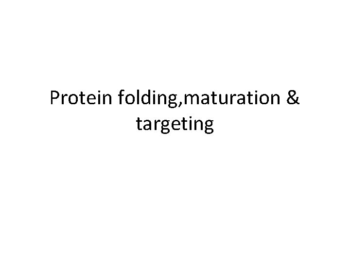 Protein folding, maturation & targeting 