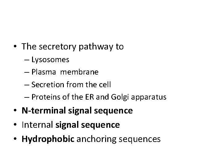  • The secretory pathway to – Lysosomes – Plasma membrane – Secretion from