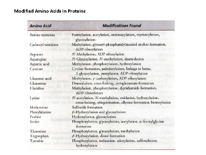 Modified Amino Acids in Proteins 