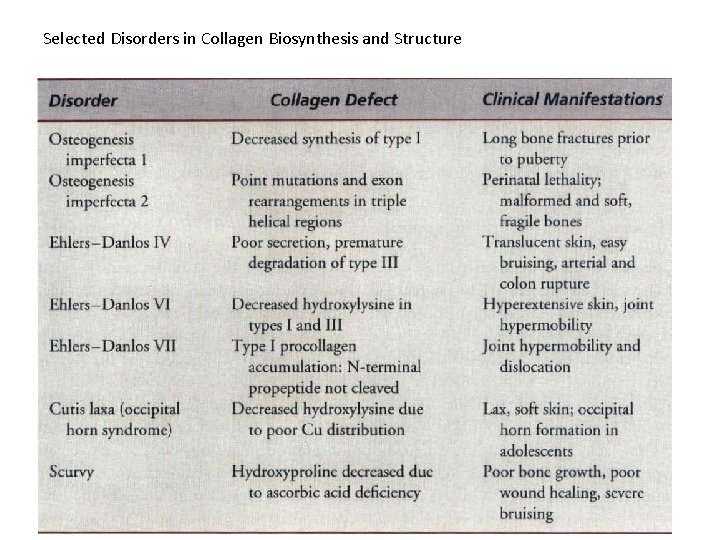 Selected Disorders in Collagen Biosynthesis and Structure 