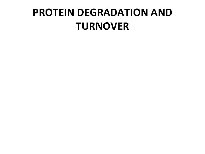 PROTEIN DEGRADATION AND TURNOVER 