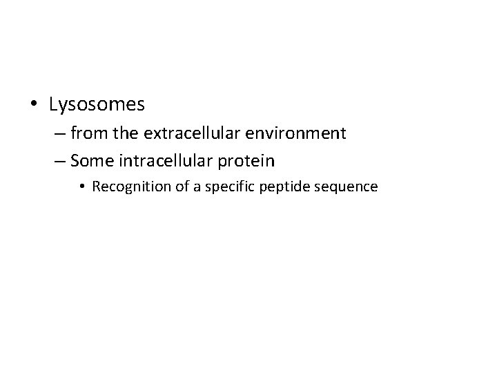  • Lysosomes – from the extracellular environment – Some intracellular protein • Recognition