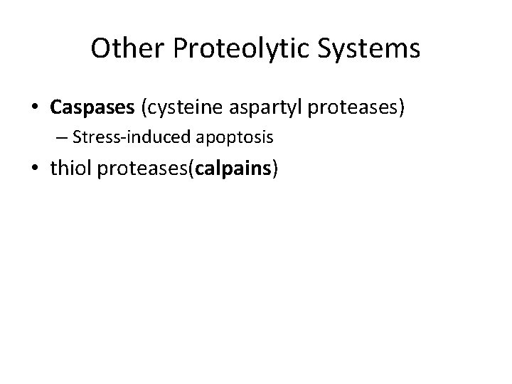 Other Proteolytic Systems • Caspases (cysteine aspartyl proteases) – Stress-induced apoptosis • thiol proteases(calpains)