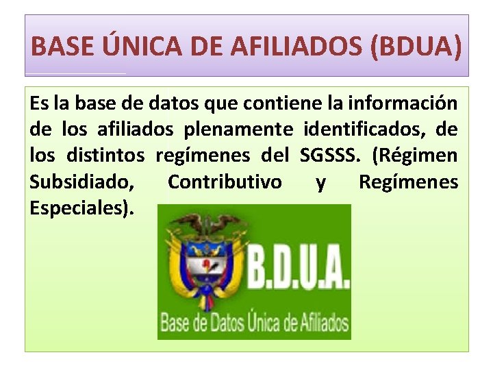 BASE ÚNICA DE AFILIADOS (BDUA) Es la base de datos que contiene la información