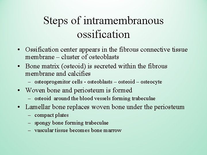 Steps of intramembranous ossification • Ossification center appears in the fibrous connective tissue membrane