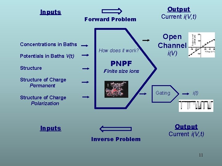 Inputs Forward Problem Concentrations in Baths How does it work? Potentials in Baths V(t)