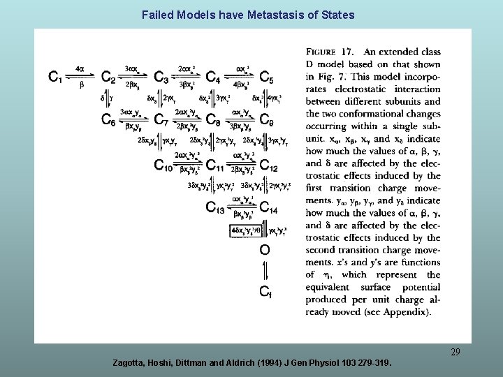 Failed Models have Metastasis of States Zagotta, Hoshi, Dittman and Aldrich (1994) J Gen