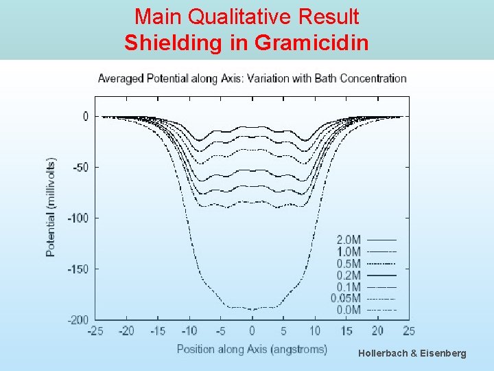 Main Qualitative Result Shielding in Gramicidin Hollerbach & Eisenberg 42 