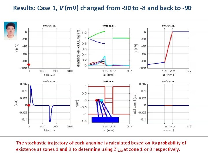 Results: Case 1, V (m. V) changed from -90 to -8 and back to