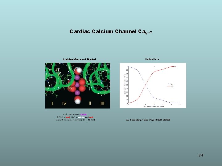 Cardiac Calcium Channel Ca. V. n Lipkind-Fozzard Model Binding Curve Liu & Eisenberg J