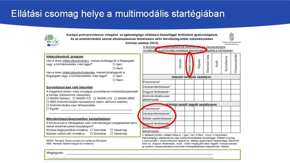 Ellátási csomag helye a multimodális startégiában 