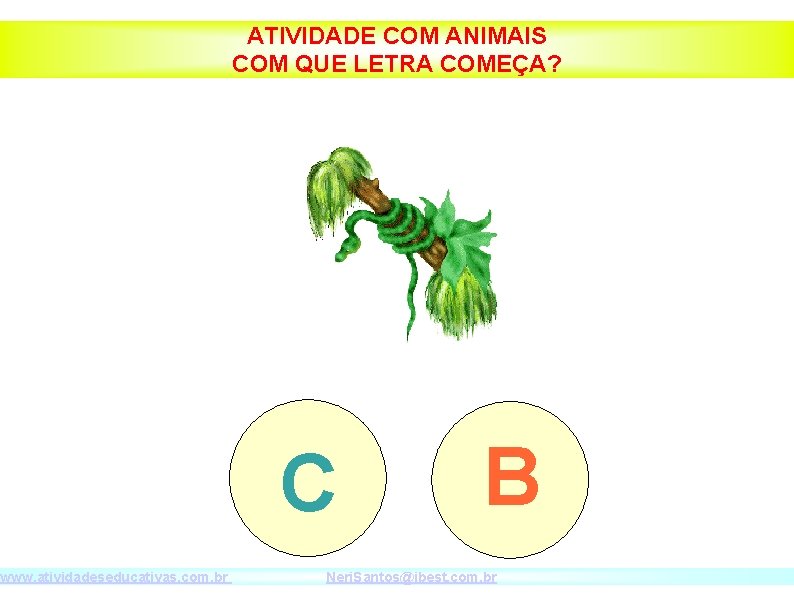 www. atividadeseducativas. com. br ATIVIDADE COM ANIMAIS COM QUE LETRA COMEÇA? C B Neri.