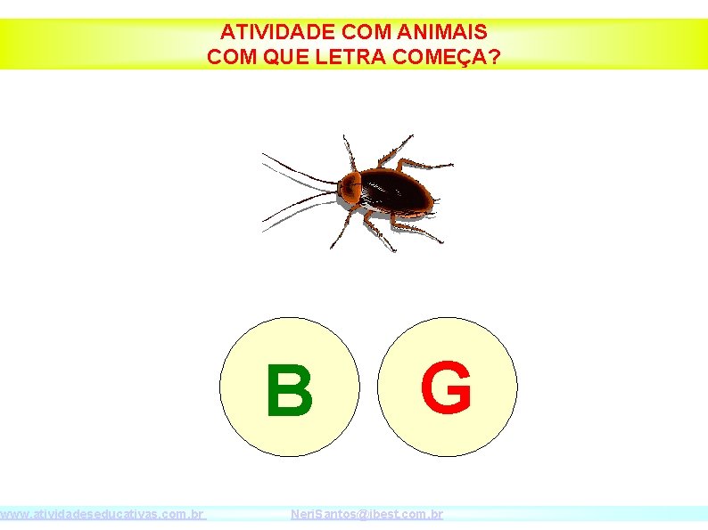 www. atividadeseducativas. com. br ATIVIDADE COM ANIMAIS COM QUE LETRA COMEÇA? B G Neri.