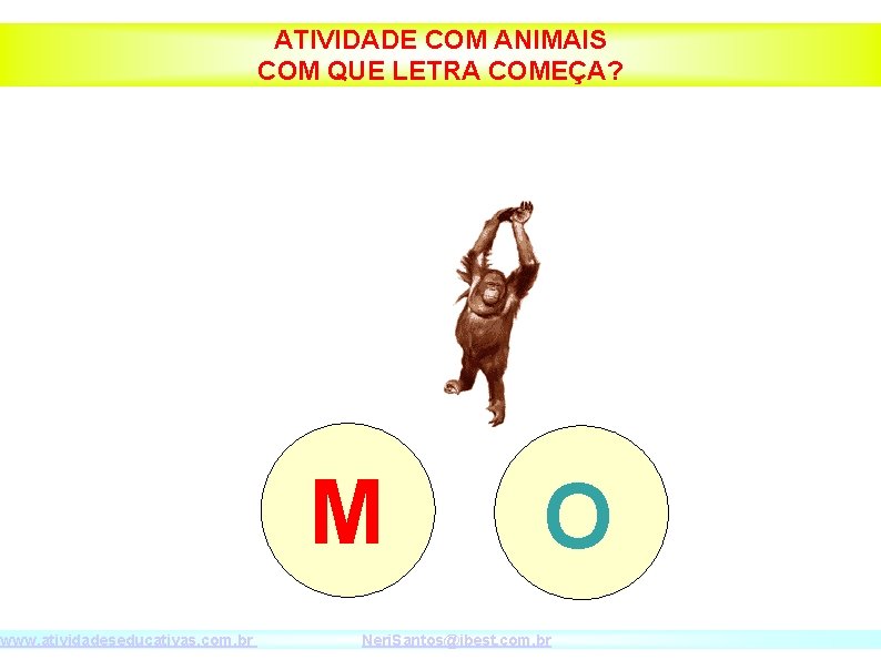 www. atividadeseducativas. com. br ATIVIDADE COM ANIMAIS COM QUE LETRA COMEÇA? M O Neri.