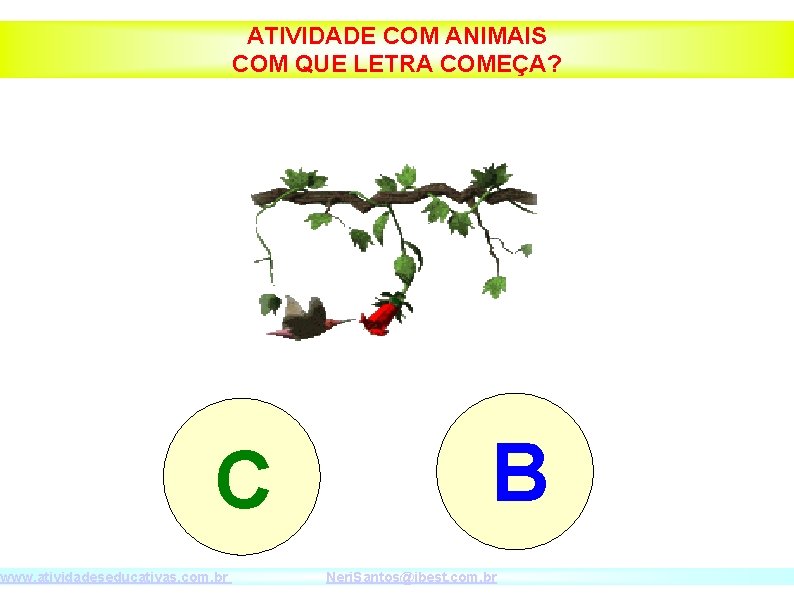 ATIVIDADE COM ANIMAIS COM QUE LETRA COMEÇA? C www. atividadeseducativas. com. br B Neri.