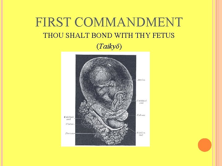 FIRST COMMANDMENT THOU SHALT BOND WITH THY FETUS (Taikyô) 