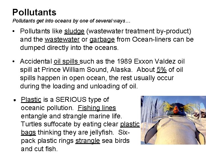 Pollutants get into oceans by one of several ways… • Pollutants like sludge (wastewater