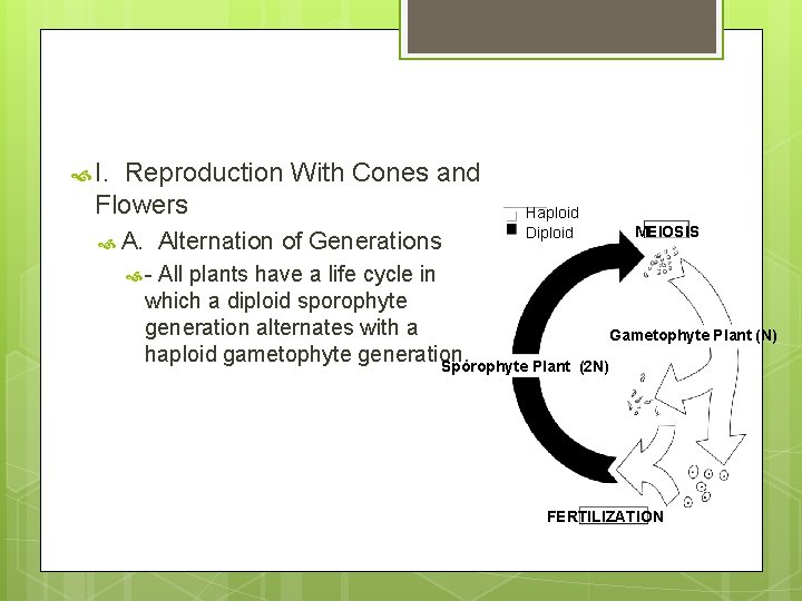  I. Reproduction With Cones and Flowers A. Alternation of Generations Haploid Diploid All