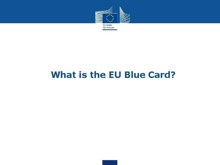 What is the EU Blue Card? 