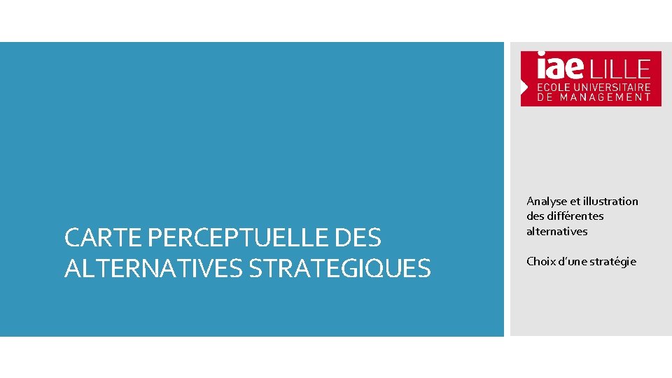 CARTE PERCEPTUELLE DES ALTERNATIVES STRATEGIQUES Analyse et illustration des différentes alternatives Choix d’une stratégie