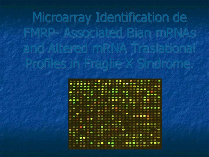 Microarray Identification de FMRP- Associated Bian m. RNAs and Altered m. RNA Traslational Profiles