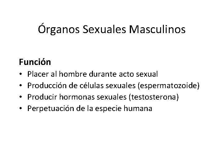 Órganos Sexuales Masculinos Función • • Placer al hombre durante acto sexual Producción de