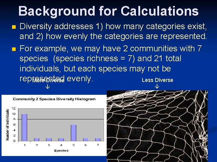 Background for Calculations n n Diversity addresses 1) how many categories exist, and 2)