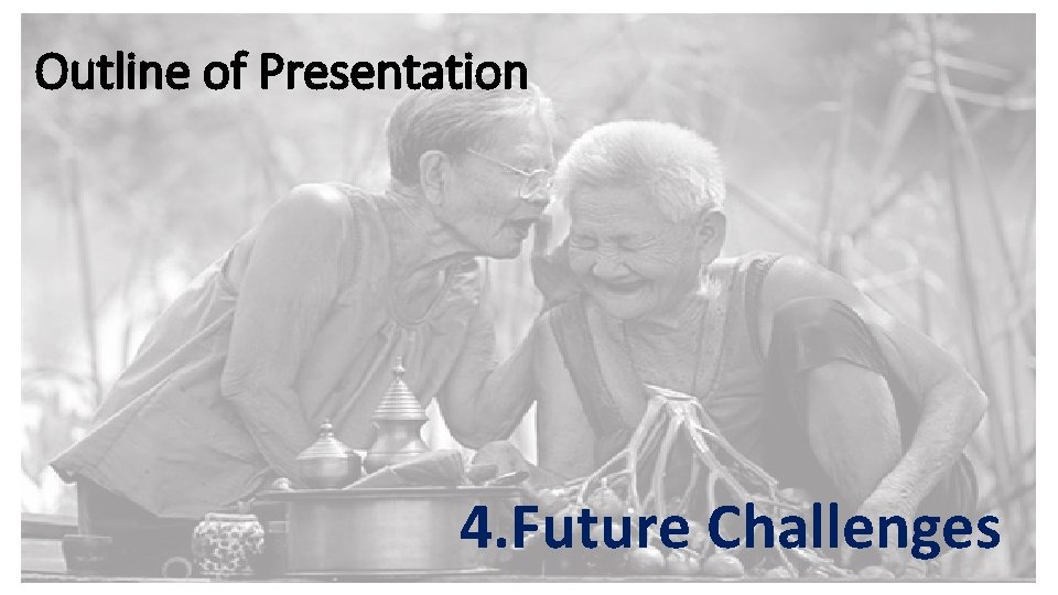 Outline of Presentation 4. Future Challenges 28 Outline of Presentation 4. Future Challenges 28