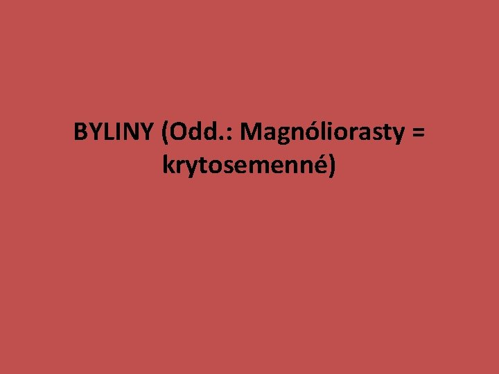 BYLINY (Odd. : Magnóliorasty = krytosemenné) 