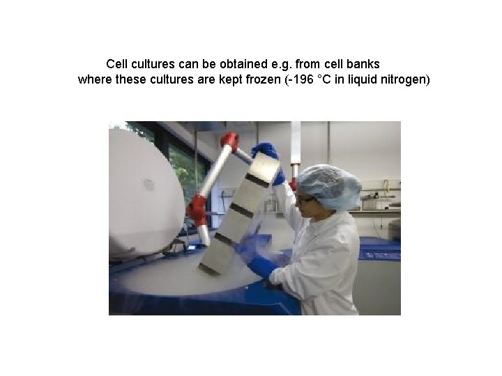  Cell cultures can be obtained e. g. from cell banks where these cultures