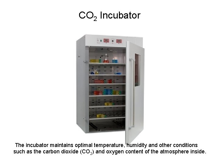 CO 2 Incubator The incubator maintains optimal temperature, humidity and other conditions such as