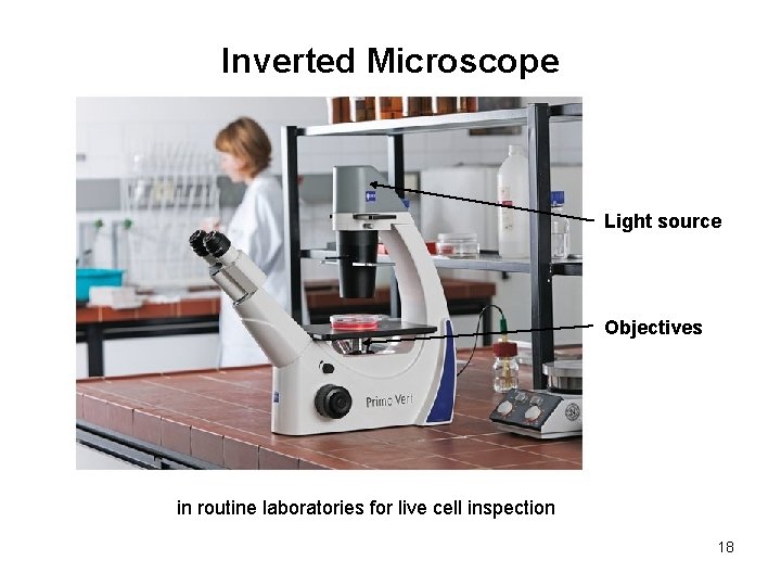 Inverted Microscope Light source Objectives in routine laboratories for live cell inspection 18 