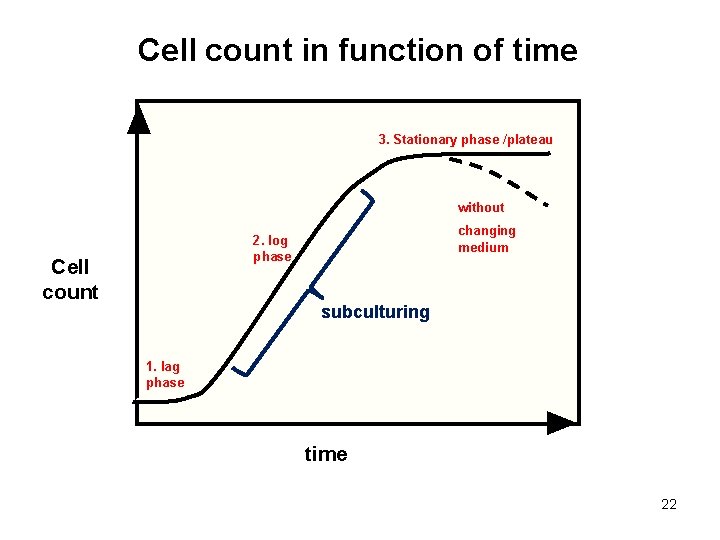 Cell count in function of time 3. Stationary phase /plateau without changing medium 2.