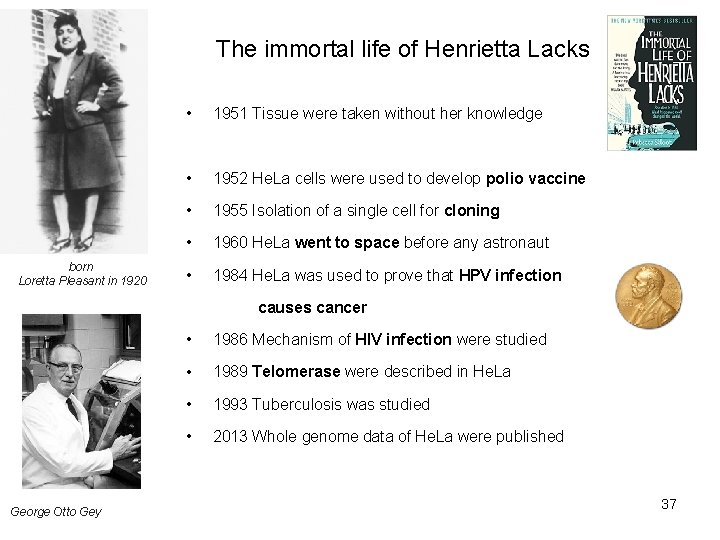 The immortal life of Henrietta Lacks born Loretta Pleasant in 1920 • 1951 Tissue