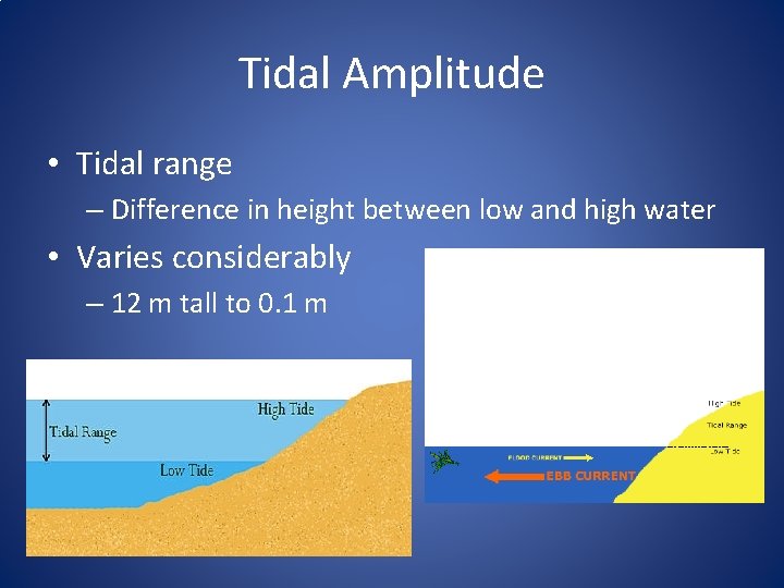 Tidal Amplitude • Tidal range – Difference in height between low and high water
