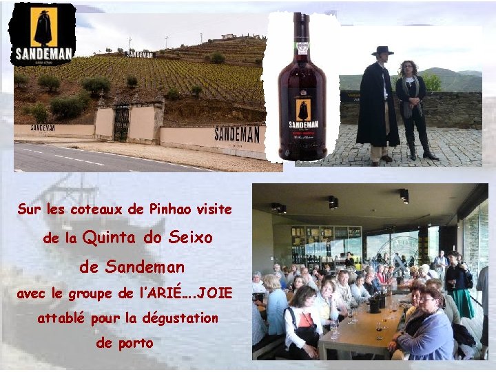 Sur les coteaux de Pinhao visite de la Quinta do Seixo de Sandeman avec