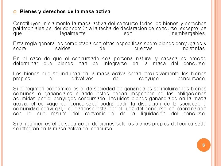  Bienes y derechos de la masa activa Constituyen inicialmente la masa activa del