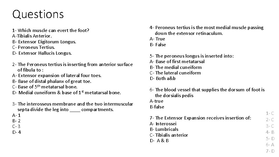 Questions 1 - Which muscle can evert the foot? A-Tibialis Anterior. B- Extensor Digitorum