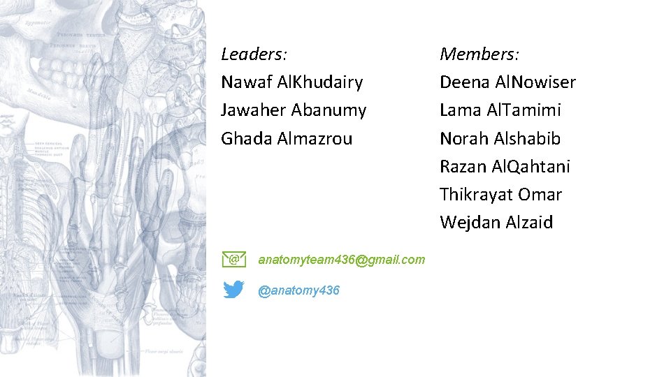 Leaders: Nawaf Al. Khudairy Jawaher Abanumy Ghada Almazrou anatomyteam 436@gmail. com @anatomy 436 Members: