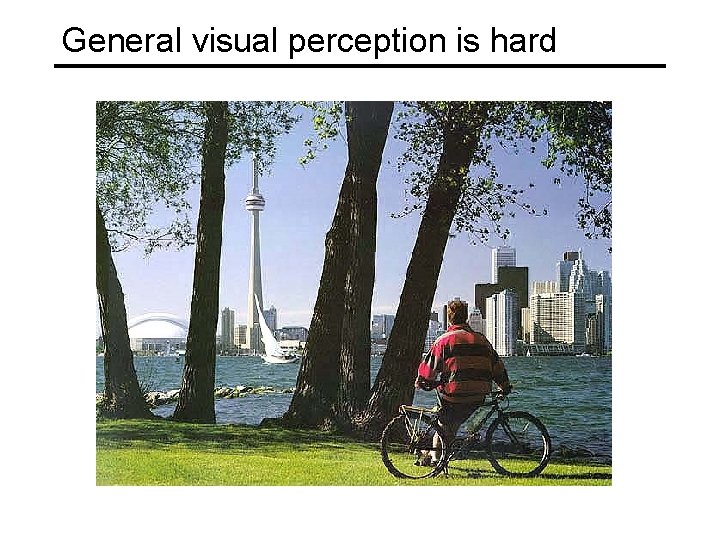 General visual perception is hard 