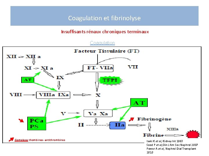 Coagulation et fibrinolyse Insuffisants rénaux chroniques terminaux Coagulation Complexe thombines- antithrombines Iseki K et